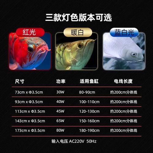 金龍魚缸燈擺放圖片