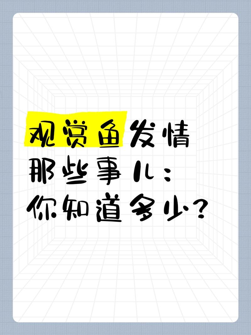 如何判斷金龍魚是否發情？