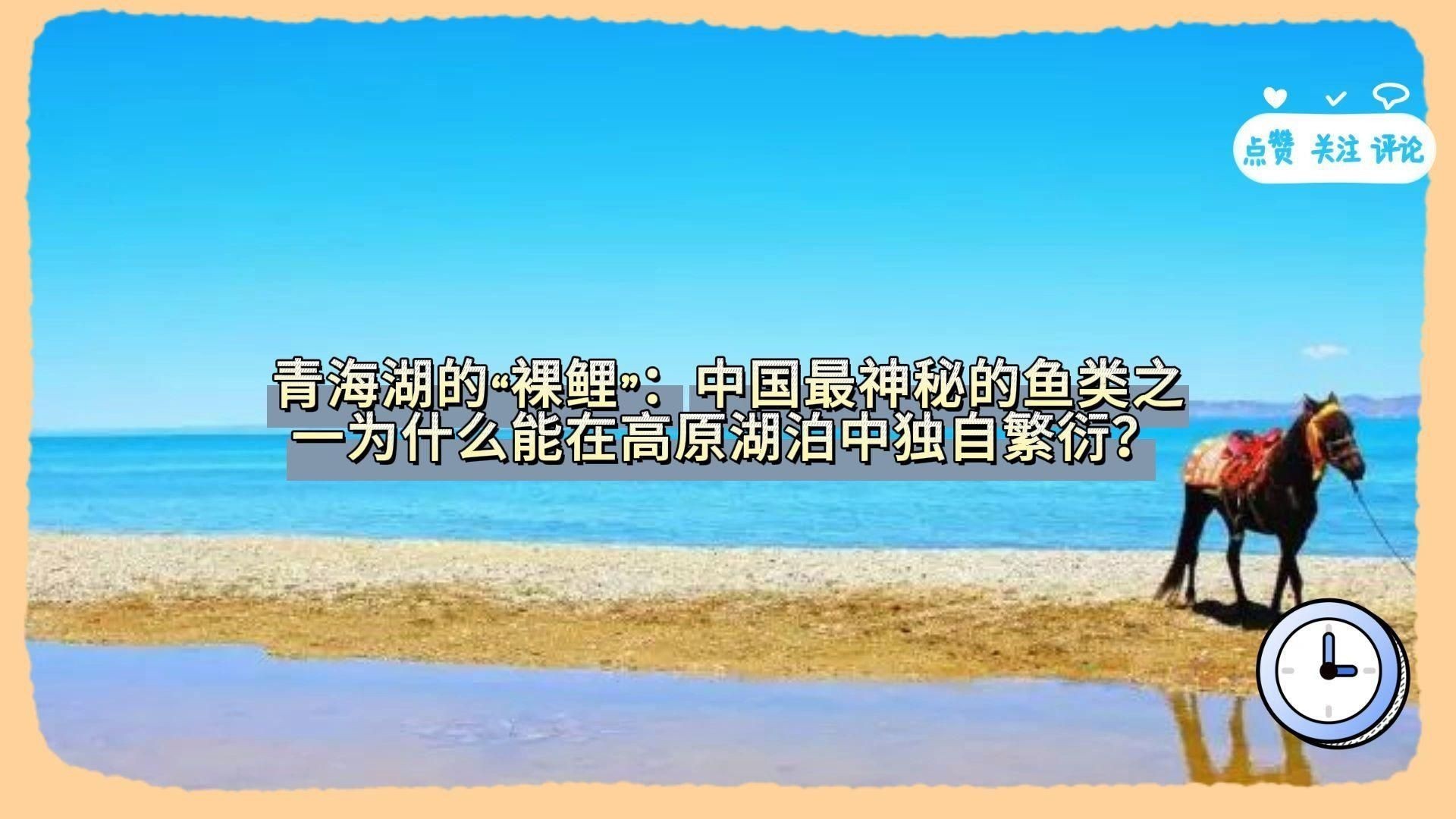 裸鯉是什么魚