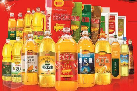 金龍魚為何那么貴？?jī)r(jià)值所在的品種，金龍魚價(jià)格昂貴的原因