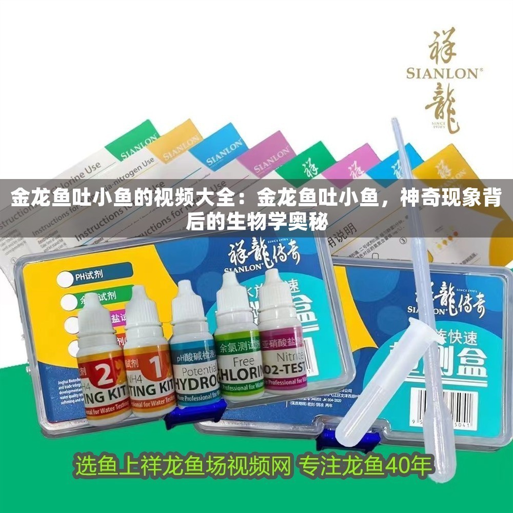 金龍魚吐小魚的視頻大全：金龍魚吐小魚，神奇現(xiàn)象背后的生物學(xué)奧秘