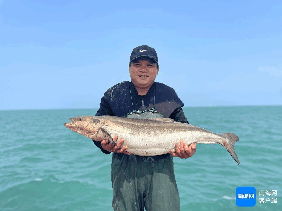 海口哪里養(yǎng)殖龍魚(yú)好些