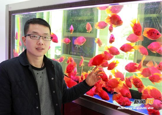 紅龍魚(yú)好不好養(yǎng)在魚(yú)缸里（養(yǎng)紅龍魚(yú)注意事項(xiàng)）
