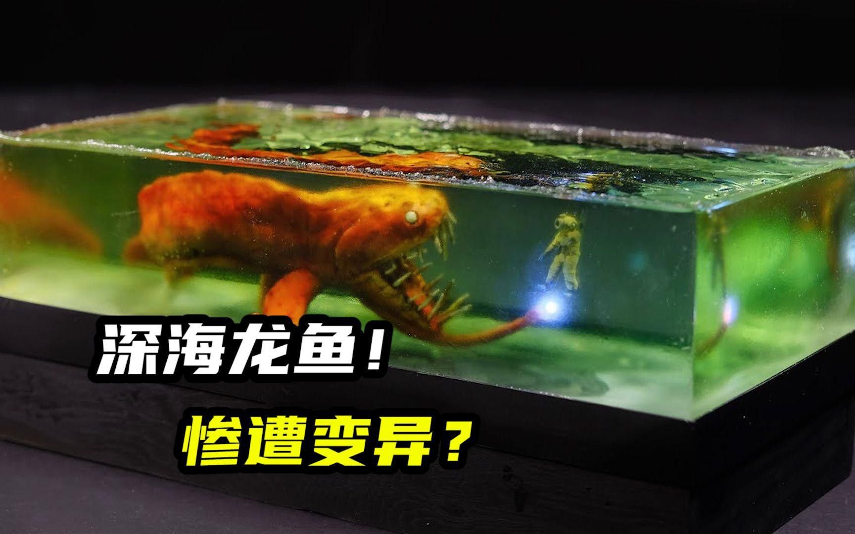 深海龍魚有情感嗎？