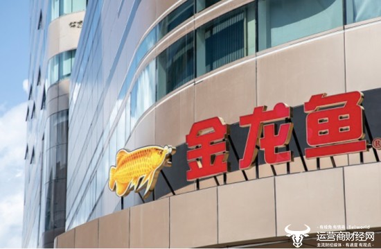 紅龍魚高清圖片素材大全無水印（紅龍魚圖片高清壁紙）