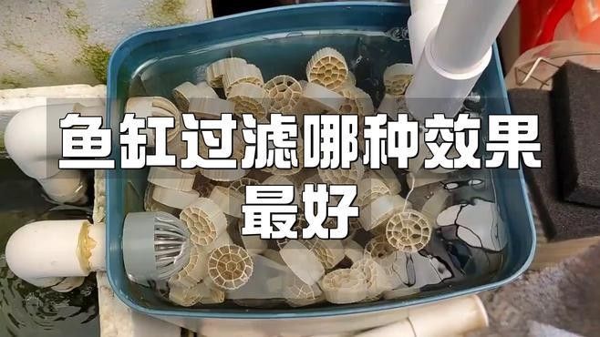 龍魚缸的過濾系統哪種最好？