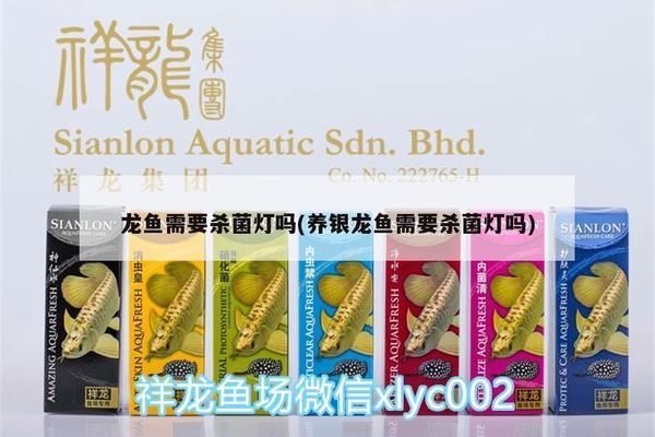 龍魚用不用殺菌燈（養(yǎng)龍魚是否需要使用殺菌燈）