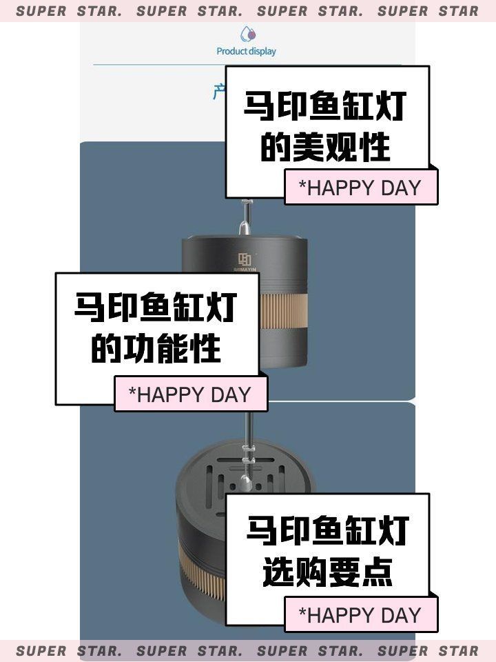 馬印水族品牌屬于什么檔次