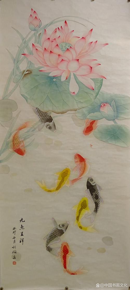 九龍魚是什么魚圖片大全視頻 龍魚百科 第41張 九龍魚是什么魚圖片大全視頻 九龍魚是什么魚圖片大全視頻 龍魚百科 第41張