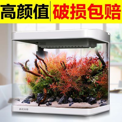 森森魚缸視頻（森森魚缸維護保養指南森森魚缸常見故障及解決森森魚缸水質管理技巧森森魚缸生態造景設計）