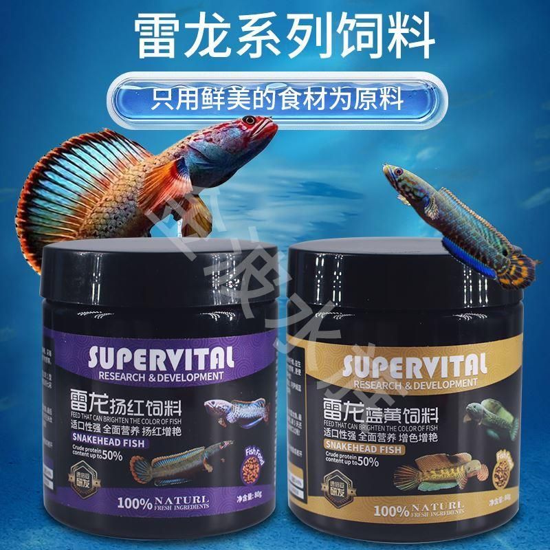 雷龍魚飼料搭配建議：雷龍魚輔食搭配指南雷龍魚飼料營養成分解析