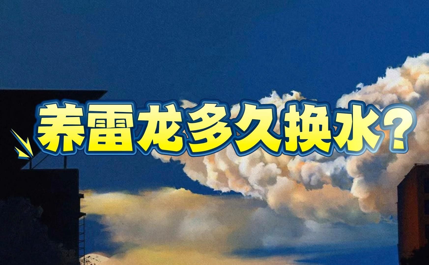 混養雷龍和招財貓需要多久換一次水？