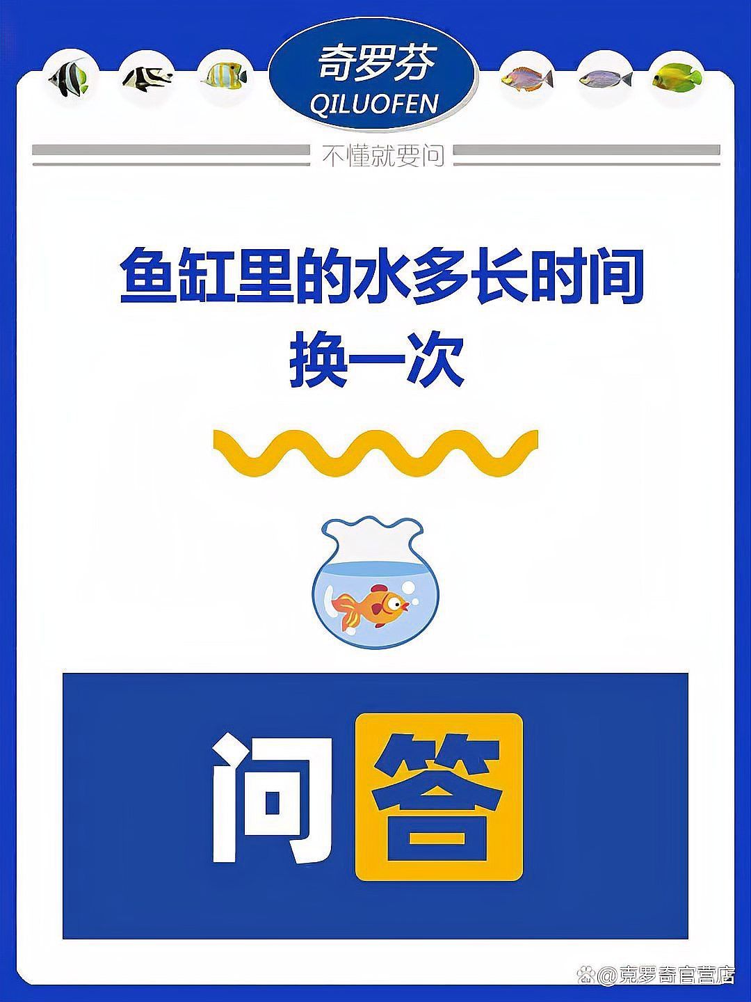混養雷龍和招財貓需要多久換一次水？