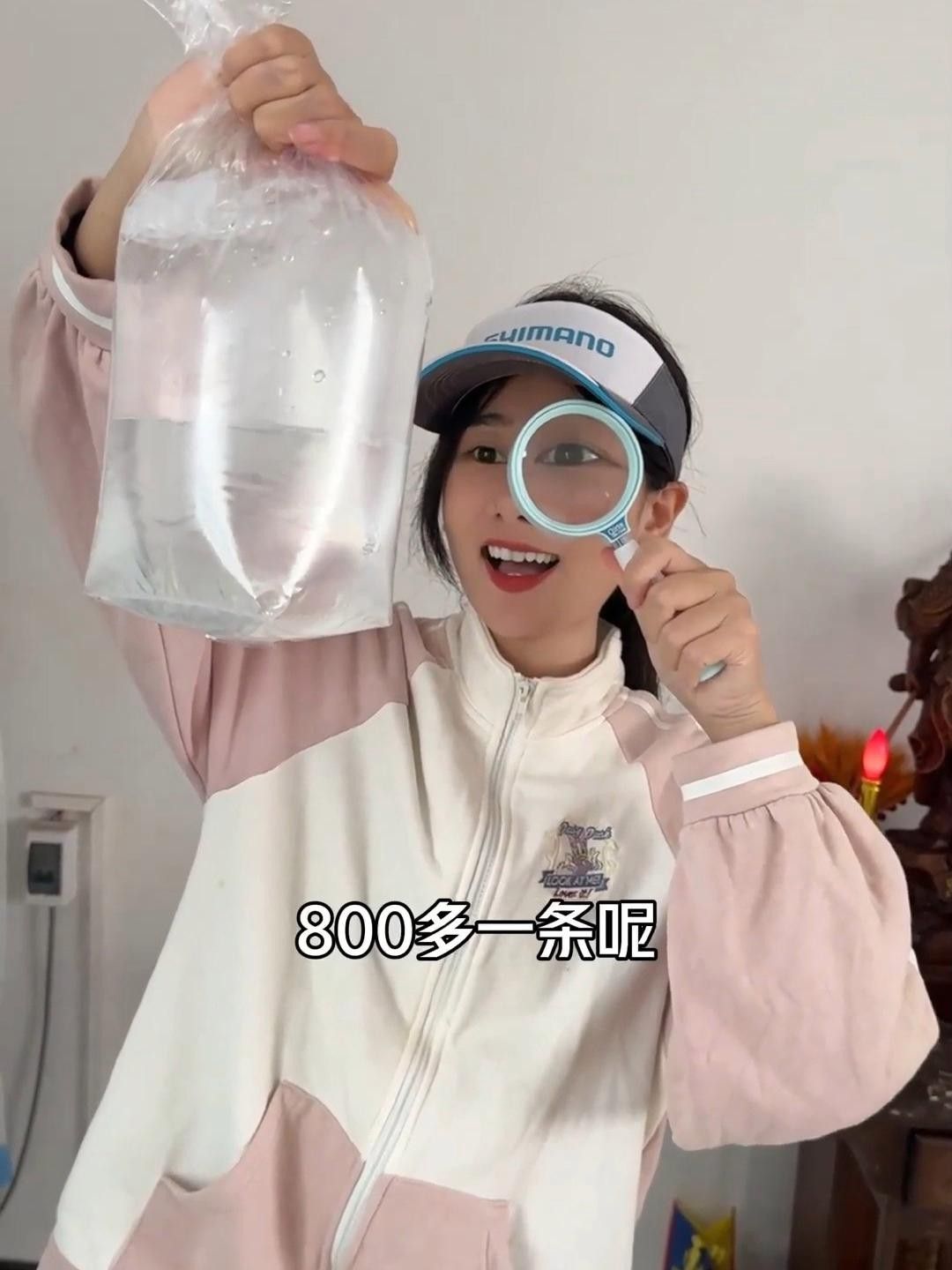 哪種混養(yǎng)品種與龍魚最和諧？