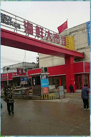 武漢龍魚哪里賣的價(jià)格高點(diǎn)好