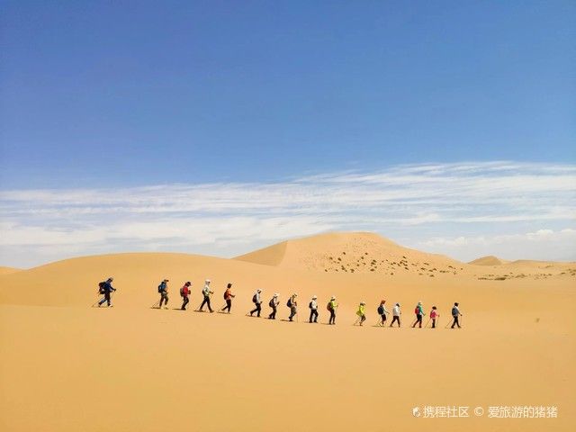 阿拉善盟龍魚養殖基地在哪里啊電話
