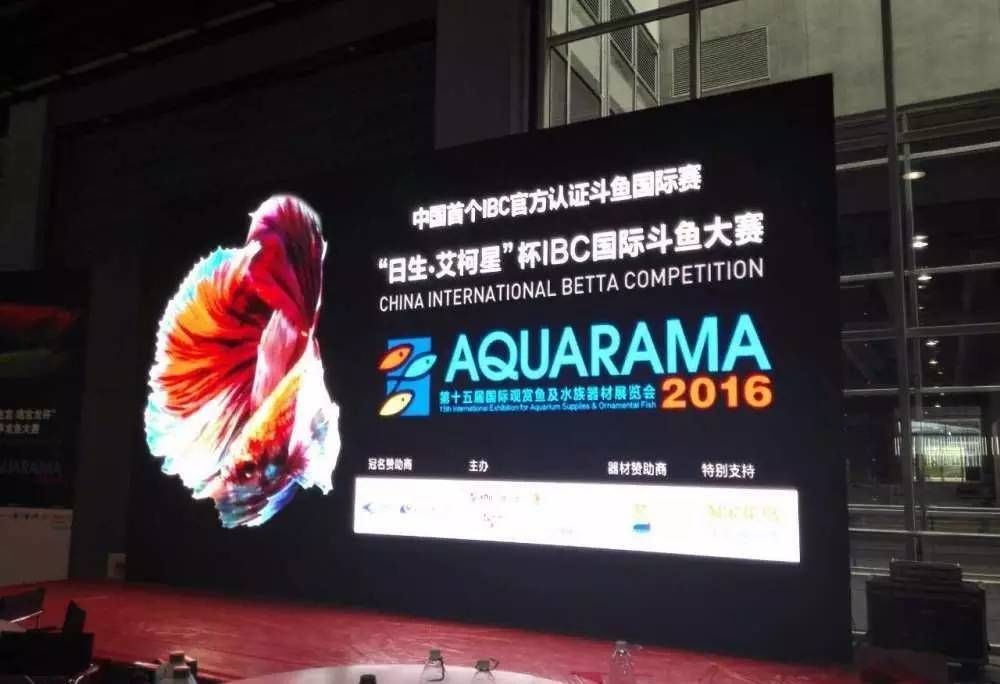 龍魚比賽怎么參加【“長城杯”世界龍魚錦標賽怎么參加龍魚比賽通常需要遵循一定的流程和要求】