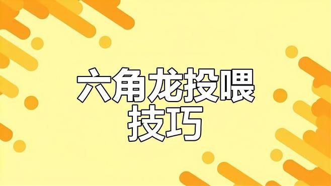 六角恐龍魚怎么喂飼料