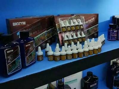 龍魚治療產品哪個牌子好用：aquatops龍魚藥水和治療劑選擇