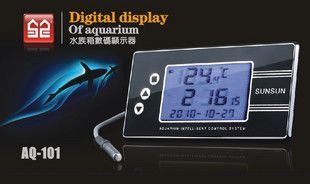 龍魚夏天溫度高怎么辦：如何為龍魚降低水溫