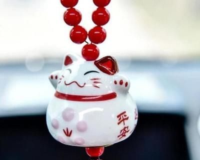 什么屬相不能養龍魚 什么屬相不能養貓：屬相與養貓的關系