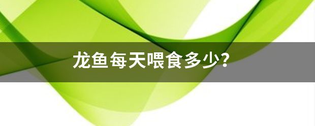 龍魚的主要品種有哪些：龍魚的主要品種及種類