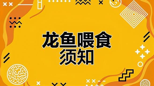 紅龍魚吃昆蟲有哪些注意事項？