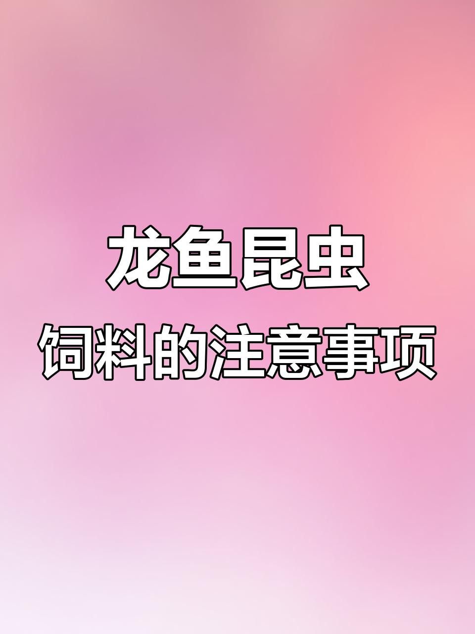 紅龍魚吃昆蟲有哪些注意事項？