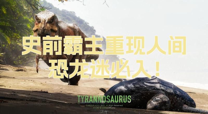 給我一張帝龍的復原圖