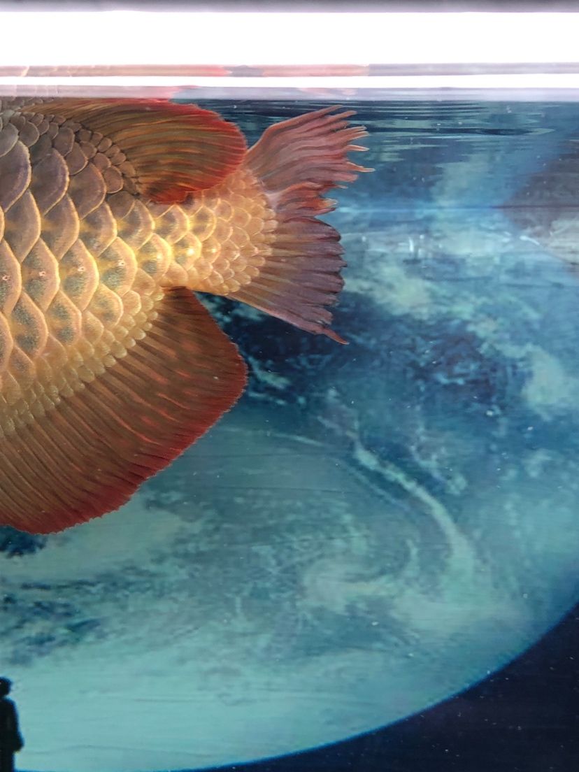 黑暗中帶點憂傷