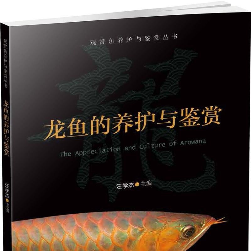 銀龍魚養殖技術培訓