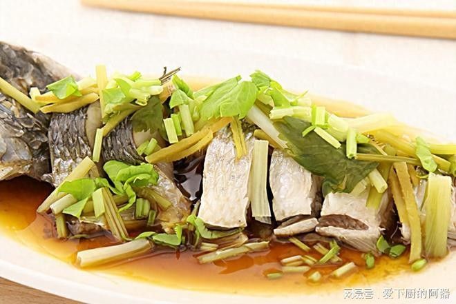 黑龍魚好吃嗎怎么養好