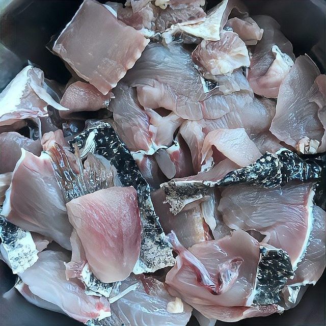 黑龍魚好吃嗎怎么養好