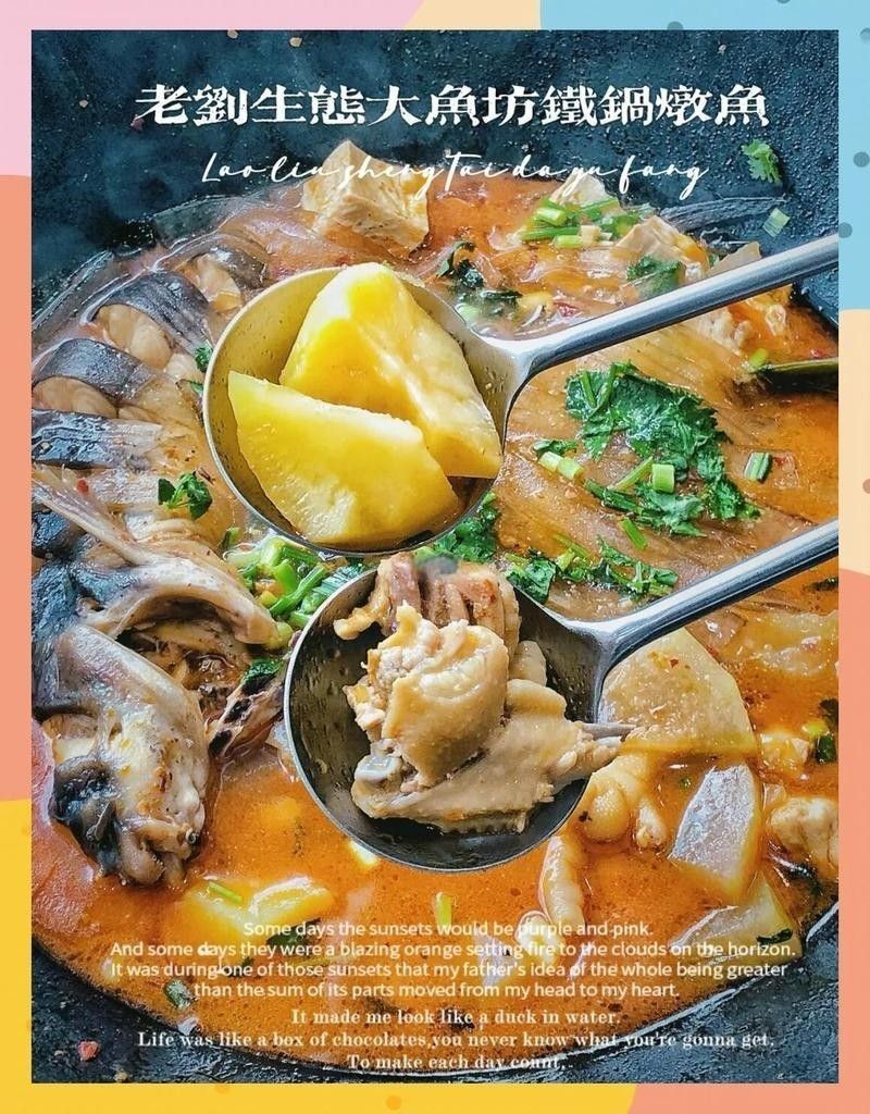 黑龍魚好吃嗎怎么養好