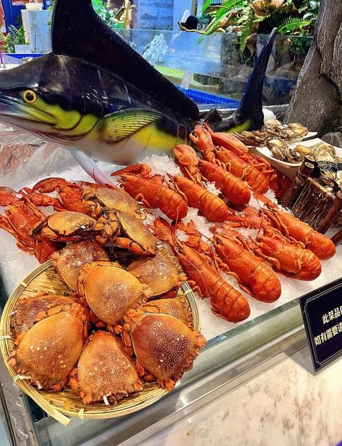 石家莊吃龍魚哪里好點