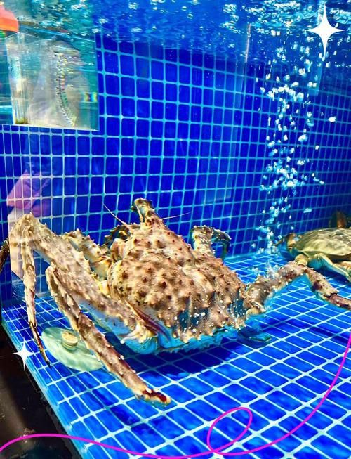 石家莊吃龍魚哪里好點