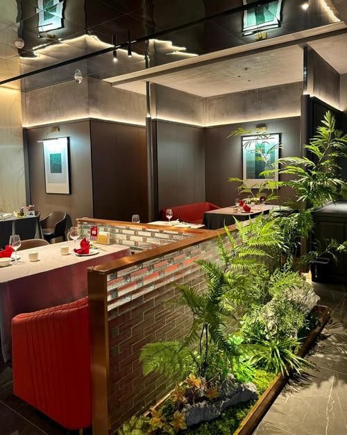 石家莊吃龍魚哪里好點