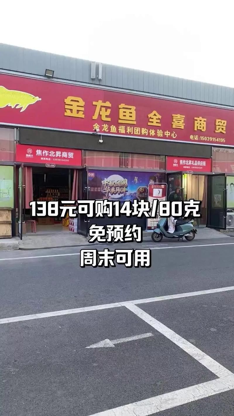 龍魚在哪里買 龍魚在哪里買 龍魚百科 第6張