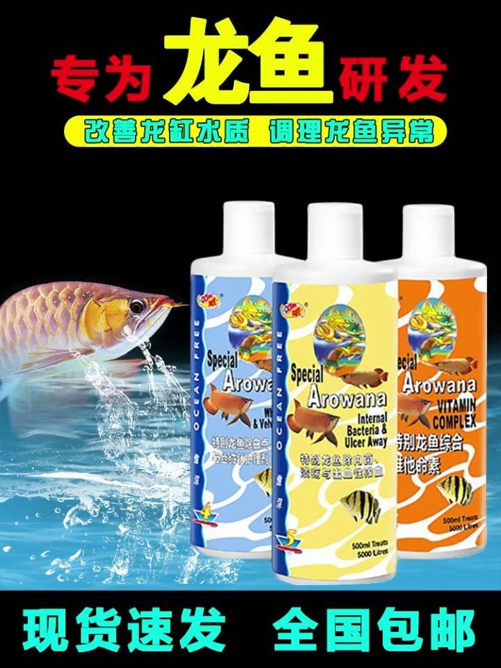 如何保持古龍魚水質參數穩定？
