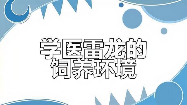 血斑雷龍魚能長多大的魚鱗