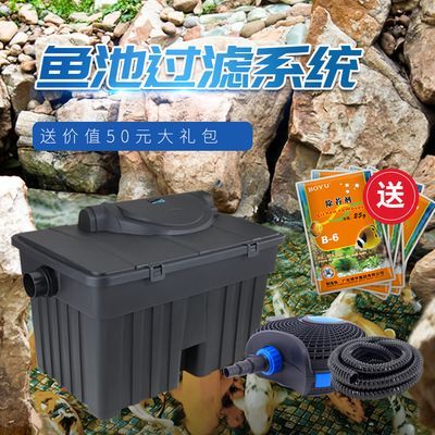 白玉金龍魚風水作用：白玉金龍魚的寓意，富貴、吉祥與精神象征