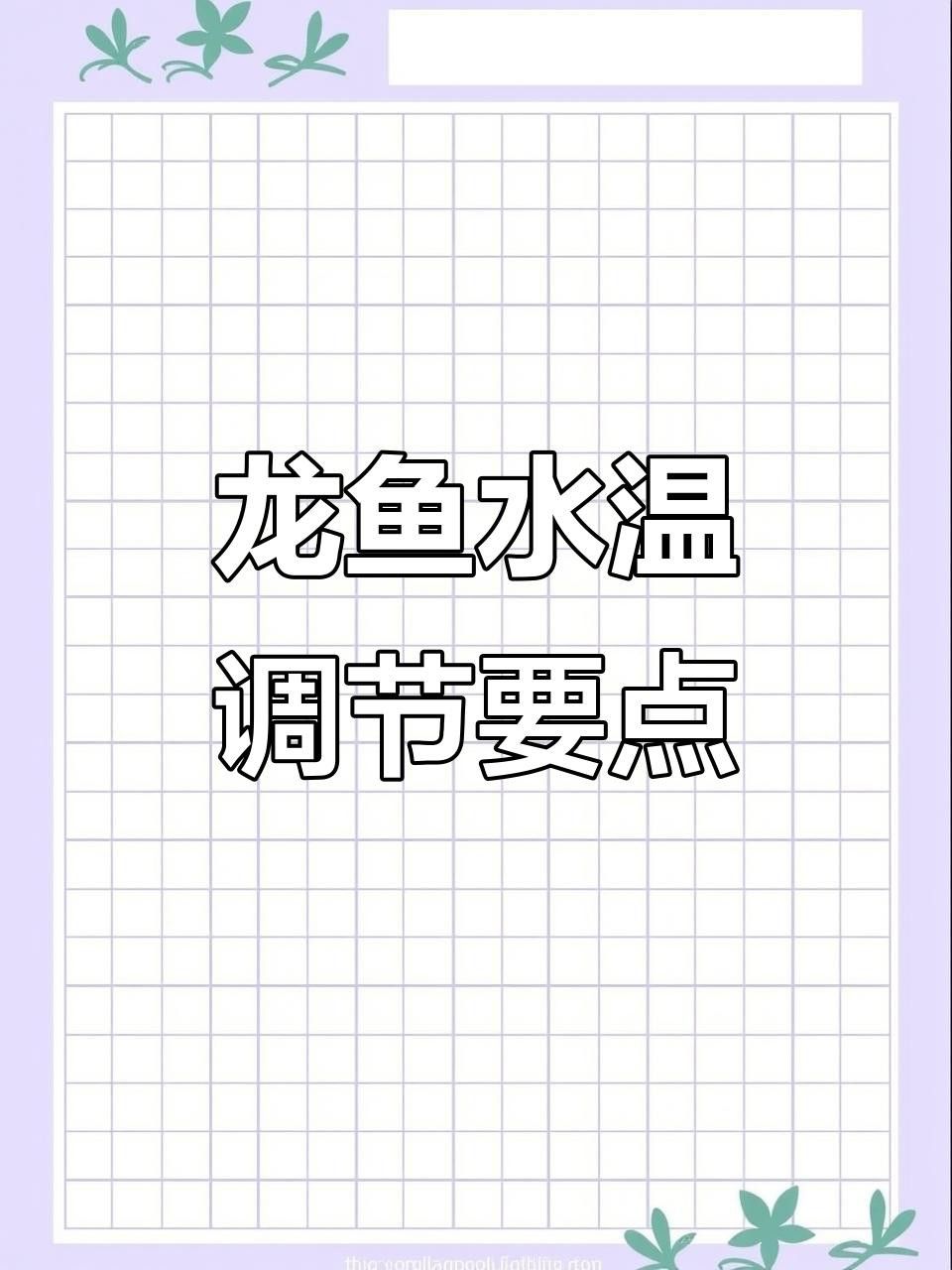 龍魚生病期間需要加溫嗎？