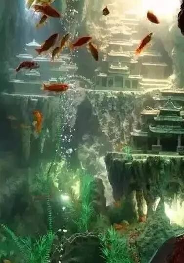 東海龍宮御龍魚缸介紹圖片