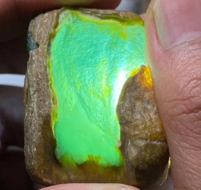 東海龍宮御龍魚缸介紹圖片