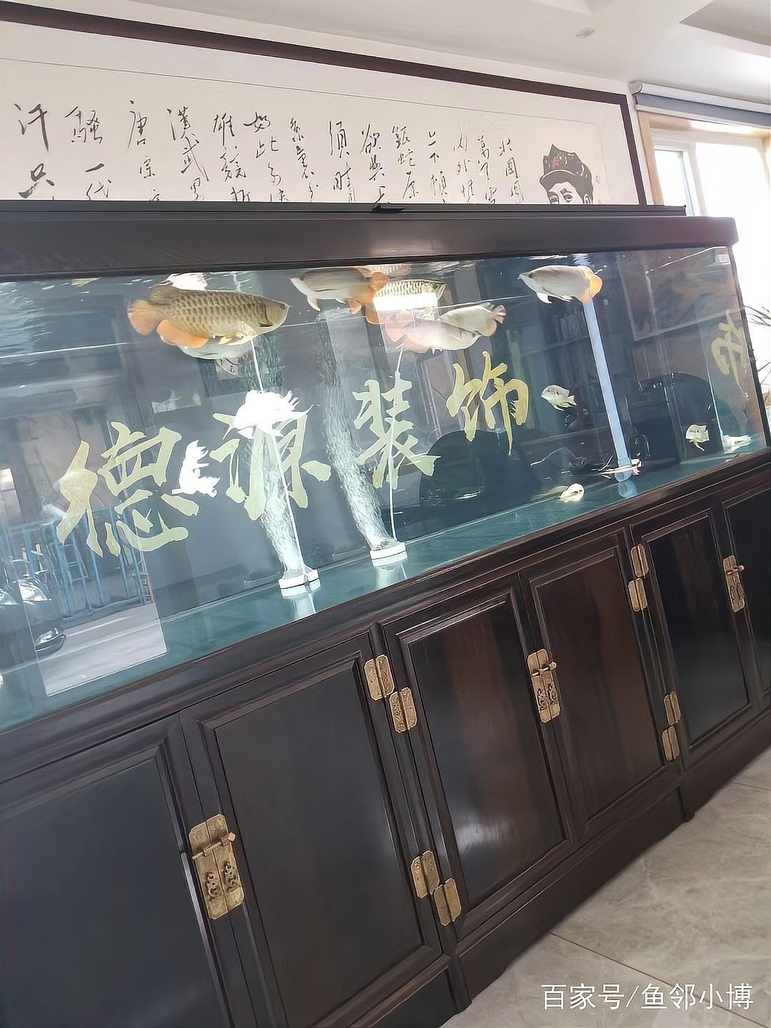 龍魚吃維生素