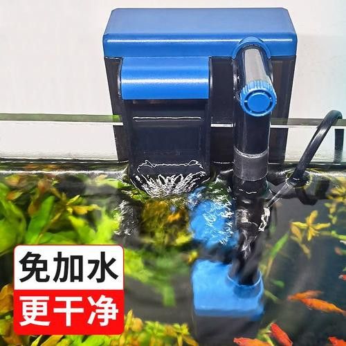 有哪些品牌過濾器適合龜增色龍魚？