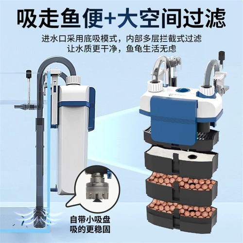 有哪些品牌過濾器適合龜增色龍魚？