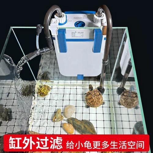 有哪些品牌過濾器適合龜增色龍魚？