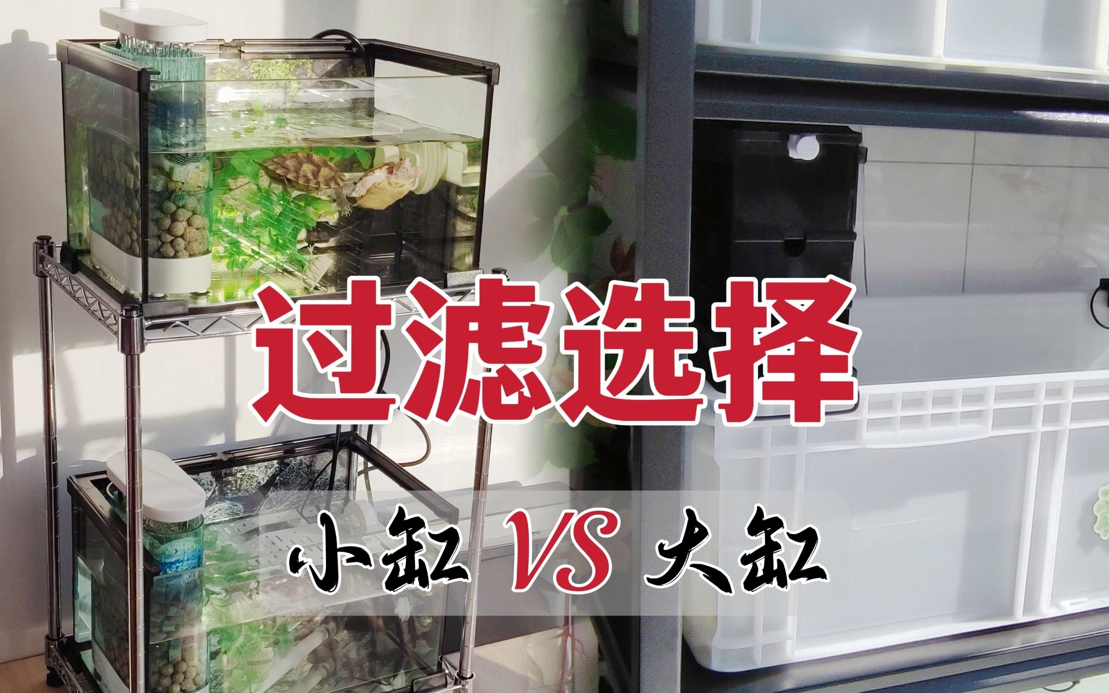 有哪些品牌過濾器適合龜增色龍魚？