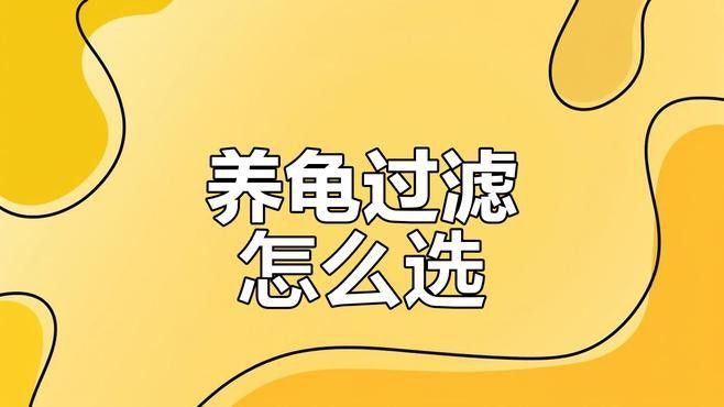 有哪些品牌過濾器適合龜增色龍魚？